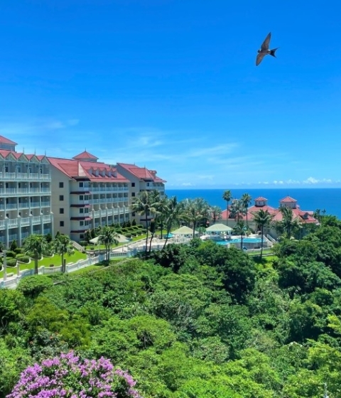 【國旅補助】限時優惠住房專案