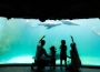 2024遠雄海洋公園5_0